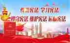 小卫士主题活动方案6篇