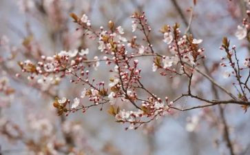 我在变优秀作文800字优质7篇