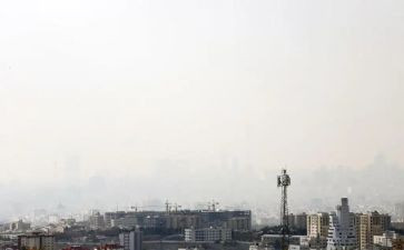 污染的环境作文6篇