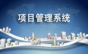 项目2023工作总结推荐6篇