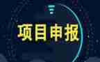 2024项目工作总结优质6篇
