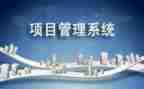 项目类工作总结参考8篇