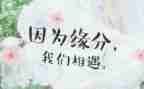 相遇作文700字8篇