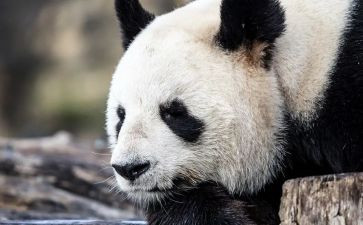 和笑有关的作文800字推荐5篇