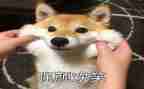 笑对生活作文600字通用8篇