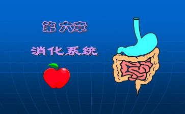 消化科年终总结5篇