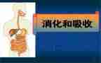 消化内科护士的述职报告6篇