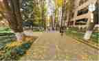 学校内宿申请书模板7篇