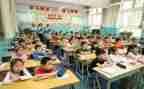 小学新老师的工作总结8篇