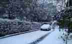 下雪了作文300字8篇