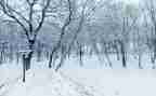下雪了大班教案7篇