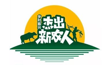 新农村干部述职报告6篇