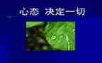 调整心态心得体会8篇