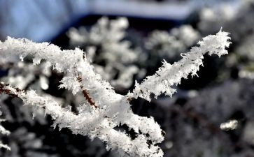滑雪的作文优质6篇