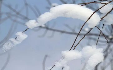 除雪工作调研报告通用7篇
