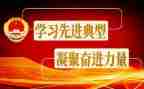 党员学典型心得体会6篇