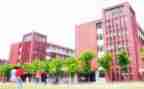学校雷锋月主题活动方案8篇