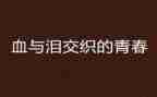 关于血与泪的心得体会精选6篇
