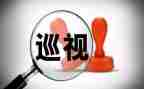 巡视组巡察工作总结6篇