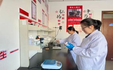 研发师工作总结8篇