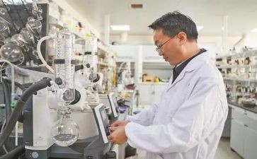 做研究报告的作文通用6篇