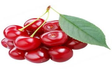 小樱桃的病读后感8篇