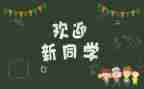 村新年迎新活动方案6篇