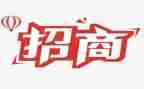 年终招商引资工作总结7篇