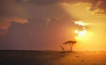 爱心永恒作文8篇