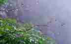 幼儿园中班《雨》教案通用7篇