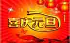 公司元旦活动方案7篇