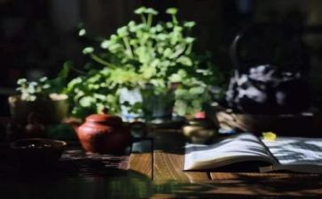 阅读节心得体会8篇