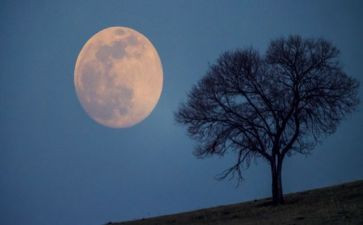 月亮于六便士的读后感模板5篇