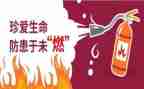 预防校园欺凌教案5篇