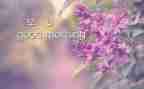 读《早》有感作文推荐7篇