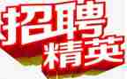 招聘的工作总结8篇