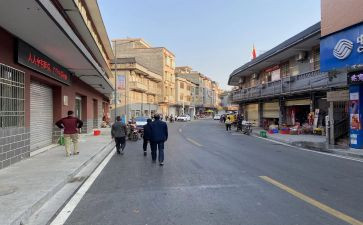 2024年乡镇调研报告6篇