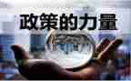 教师“双减”政策心得体会参考6篇