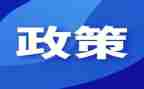 教师“双减”政策心得体会8篇