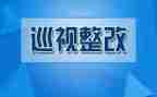 小学规范办学行为自查报告和整改报告6篇