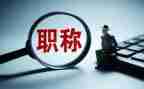 正高级会计师述职报告6篇