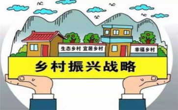 乡村振兴年度工作计划5篇