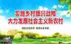 2024乡村振兴专干工作总结6篇