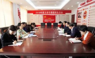 向党支部述职报告推荐6篇