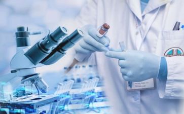 质量部的述职报告6篇