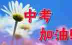 体育中考作文6篇
