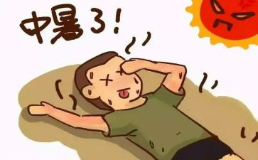 高中暑假心得体会模板5篇
