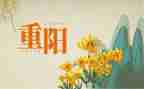 社区开展九九重阳节活动方案8篇