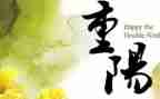 重阳节献爱心活动方案6篇