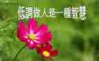 关于做人的优秀作文5篇